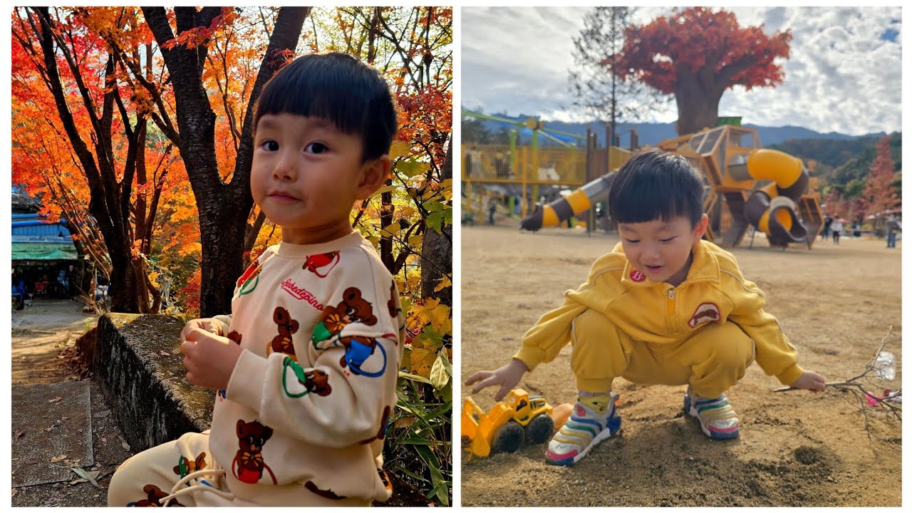 서준이네 내장산 단풍구경 + 정읍 기적의 놀이터