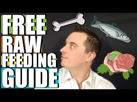 Free Raw Feeding Guide For Dogs thumbnail