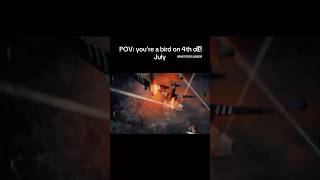 POV: you’re a bird on 4th of July #memes #funny #4thofjuly #shorts #short
