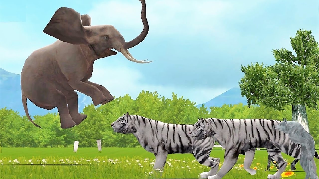 Learn about the Animals' names, pronunciation, habitats and more