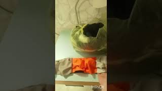 Массажный коврик от Наташи!
