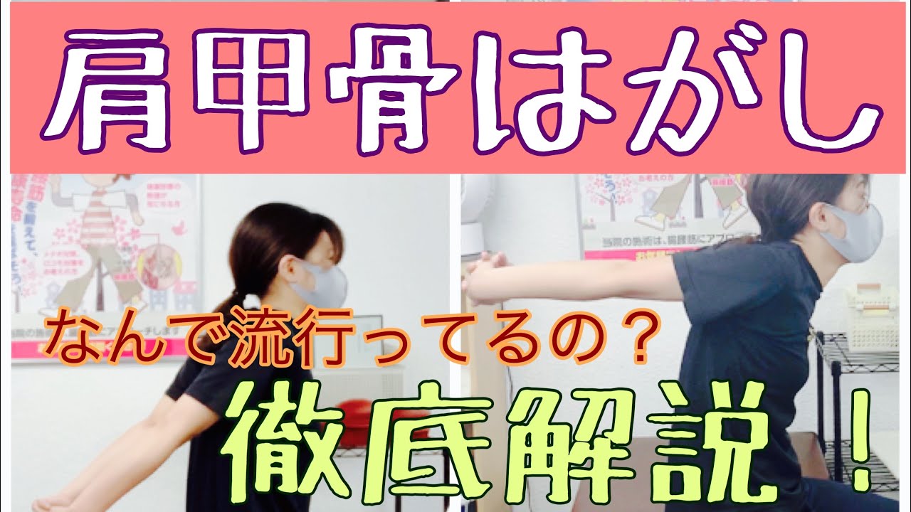 肩甲骨 はがします 日本橋中央整骨院