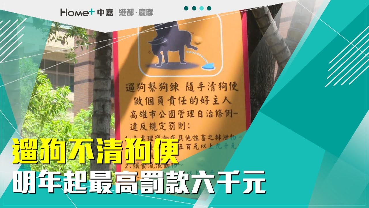 愛護環境 遛狗不清狗便明年起最高罰款六千元 Youtube 愛護環境 遛狗不清狗便明年起最高罰款六千元 Youtube