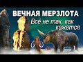 Вечная мерзлота. Все не так, как кажется.