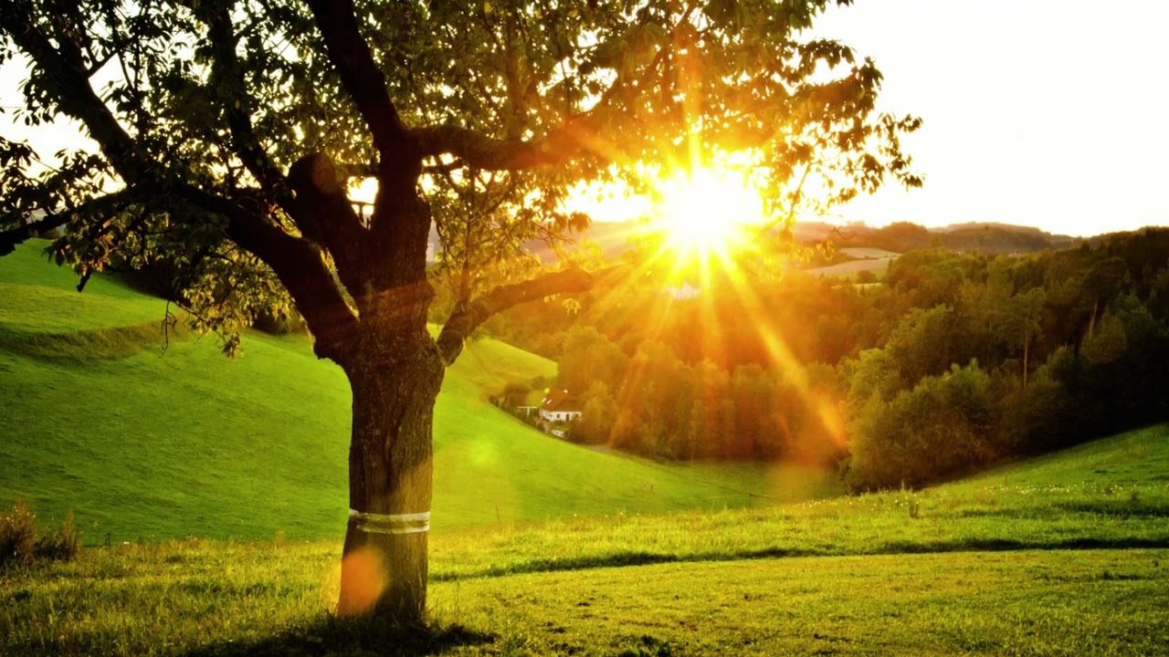 5th Grade Science STAAR Test Review - Reporting Category 4