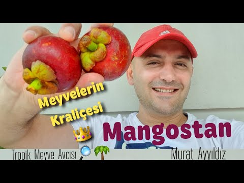 Mangosten meyvesi, Mangostan meyvesi nasil kesilir ve nasil yenir, mangosteen fruit, tropikal meyve