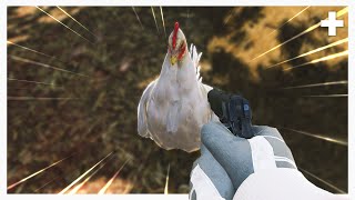 Watch this Warzone video or the chicken gets it