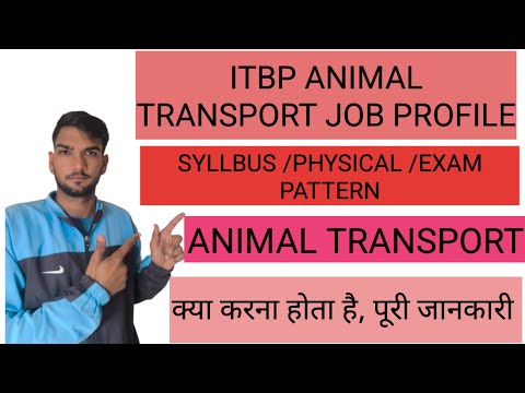 ITBL ANIMAL TRANSPORT