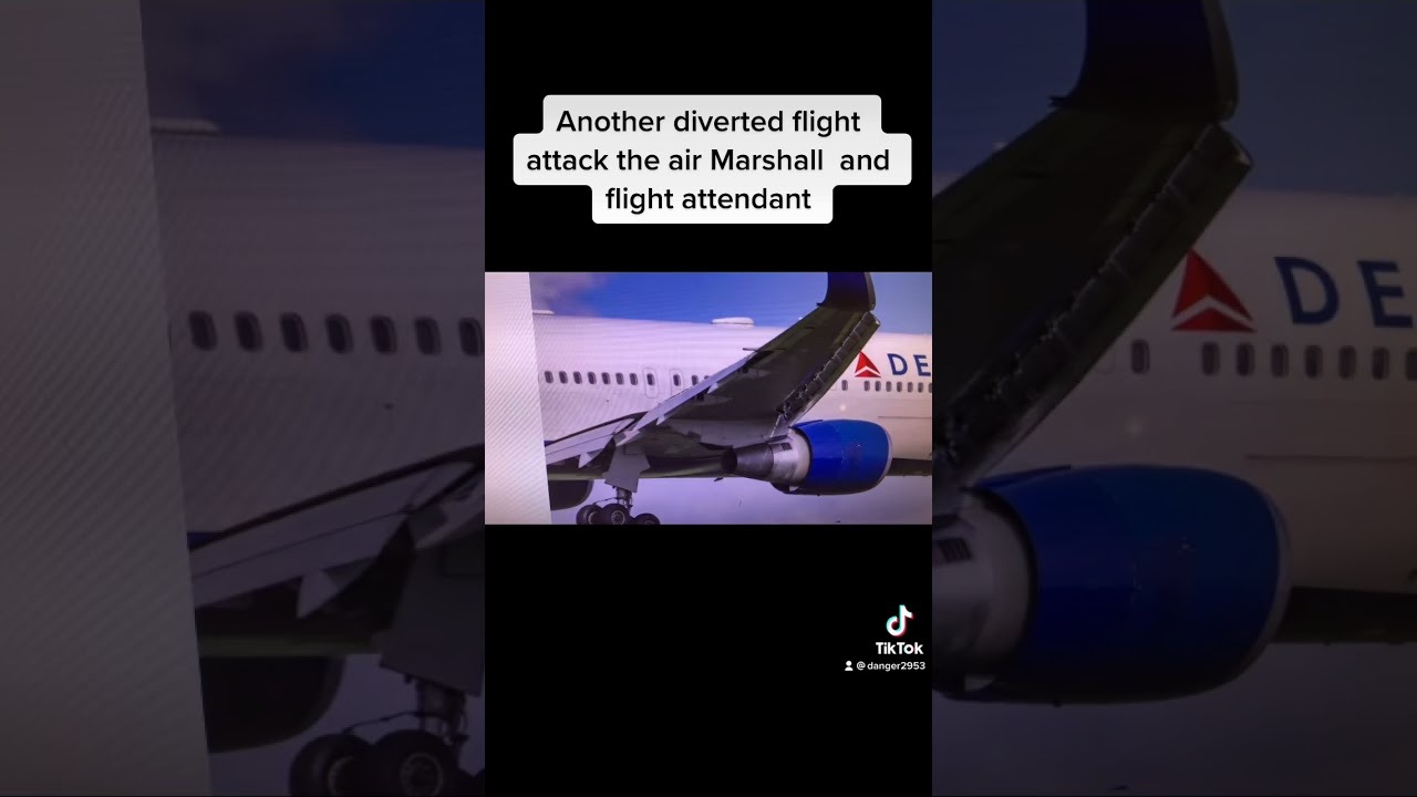 A Delta flight diverted from LA, a flight attendant and Air Marshal