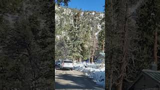 Volvere Diego Verdaguer