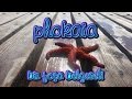 Phokaia bir Foça Belgeseli - Fragman [🎥]