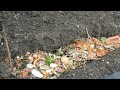 Organic Soil Amendments for Growing Ton Of Vegetables In Your Garden