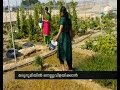 Women group Doha Paddy field