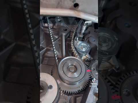 Ford transit 2.0 ecoblue timing belt replacement..