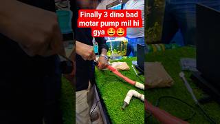 Finally mil hi gya motar pump 😮‍💨🤩 #filter #aquarium #shortsviral #viralvideo #ytshorts #shorts