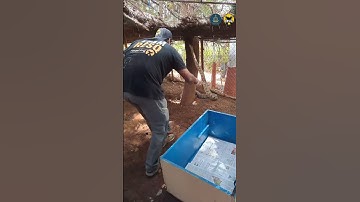 Python rescue and release | RESQ CT, Pune 2023