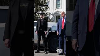 "Tesla Takedown": Anti-Musk protests gaining momentum