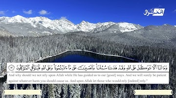 ما تيسر من سورة إبراهيم الشيخ رضا عبد المحسن