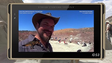 TWO new dinosaurs 2️⃣🆕🦕💥 Introducing Zavacephale and Utetitan, plus Thursday BIRDSday (