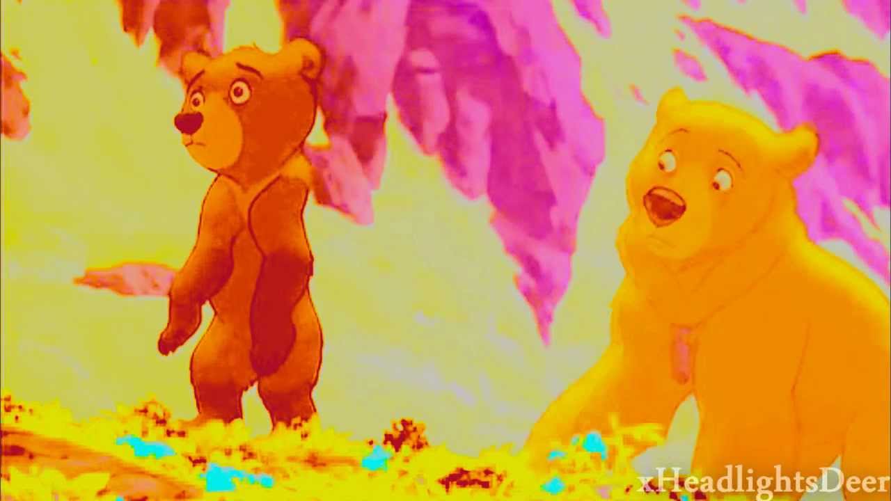 lights brother bear YouTube