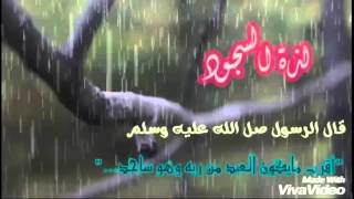 تصميمي ابسجد ياعساها آخر عهد في دنيتي واموت