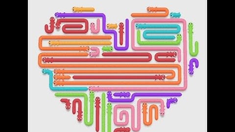 Escape the Grid and Save the Gecko / Gecko Go! Levels 11-20