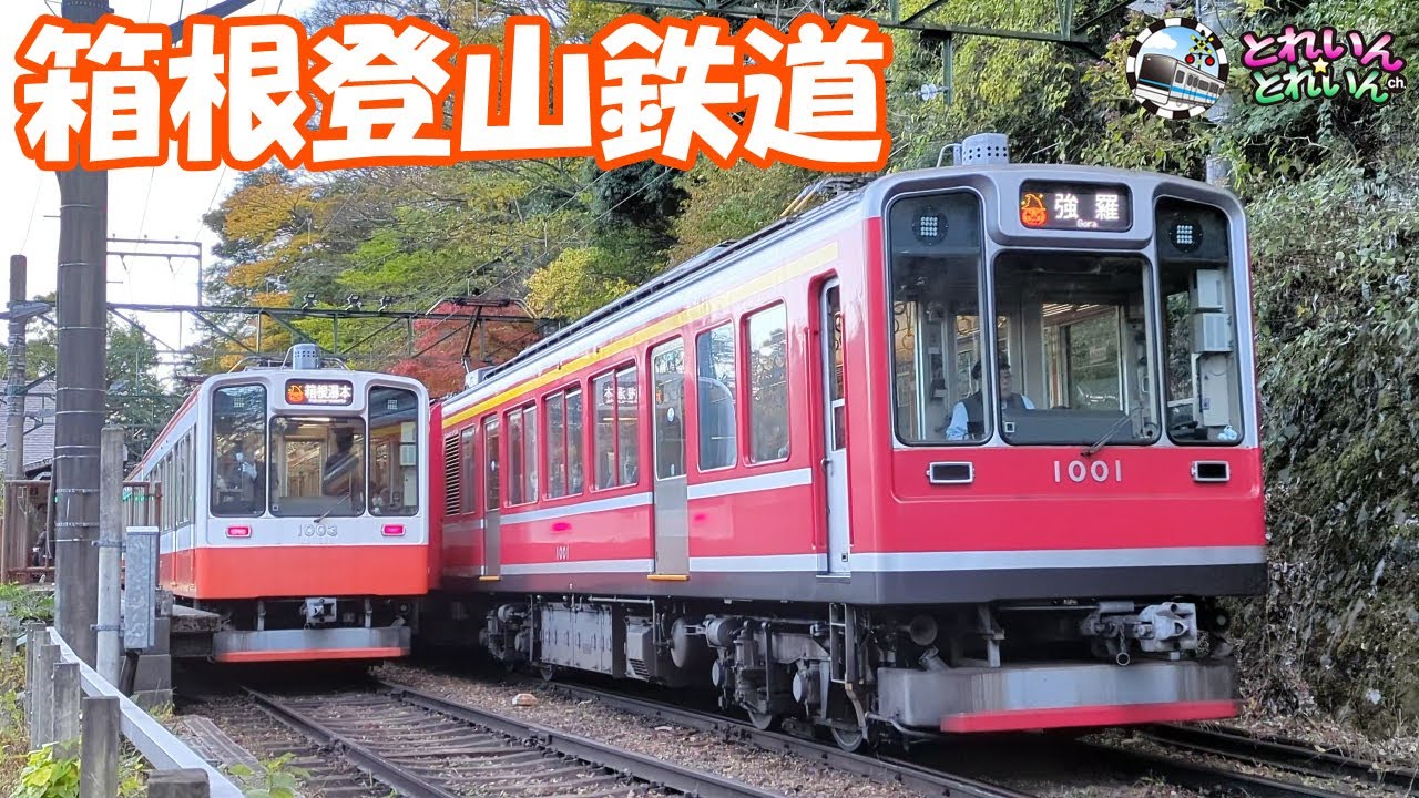 【子供も大人も楽しめる電車】箱根登山鉄道【踏切 電車 小田急 Japanese train kids こども 泣き止む】