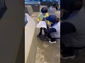 カワウソが水族館の水槽から脱走して子供に抱きつく🦭 #カワウソ #水族館 @chiero_piero
