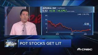 Short sellers just took down the CEO of one of the largest cannabis companies