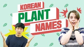 Funny Korean Plant Names & Hidden Meanings