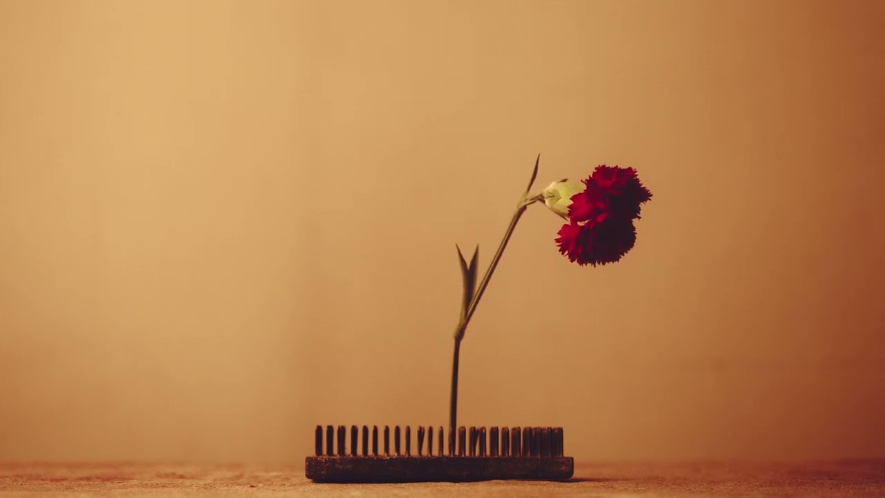 Tarun Balani I Risalo (Official Video)