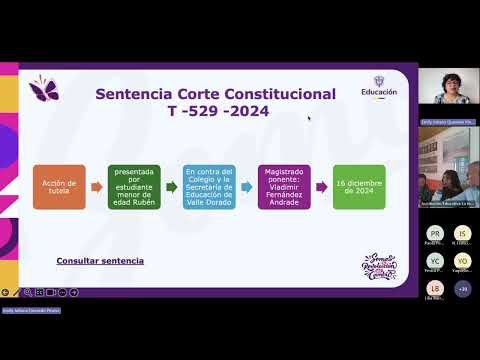 Presentación general de la Sentencia T529-2024 y marco normativo primera parte