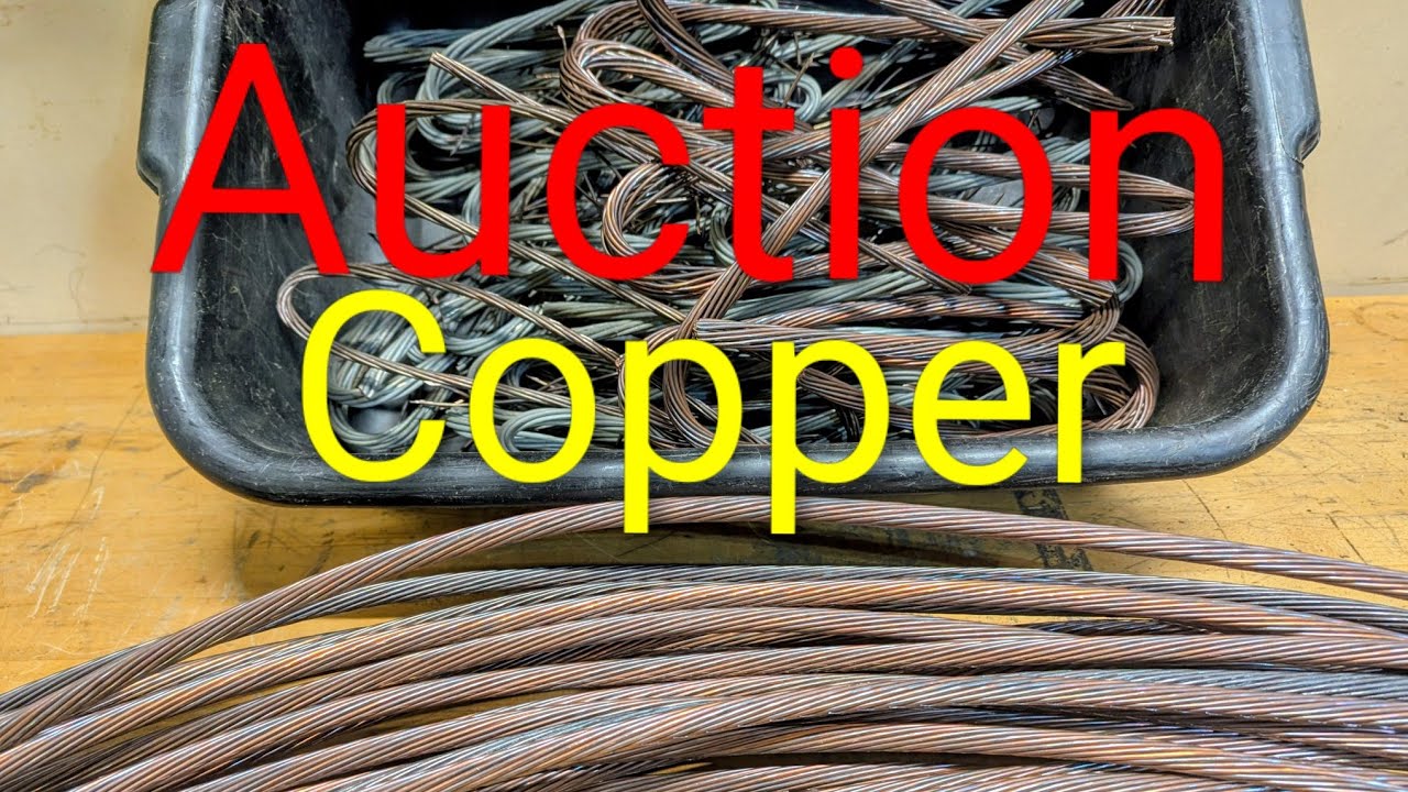 Great Auction!  One of our best auctions 