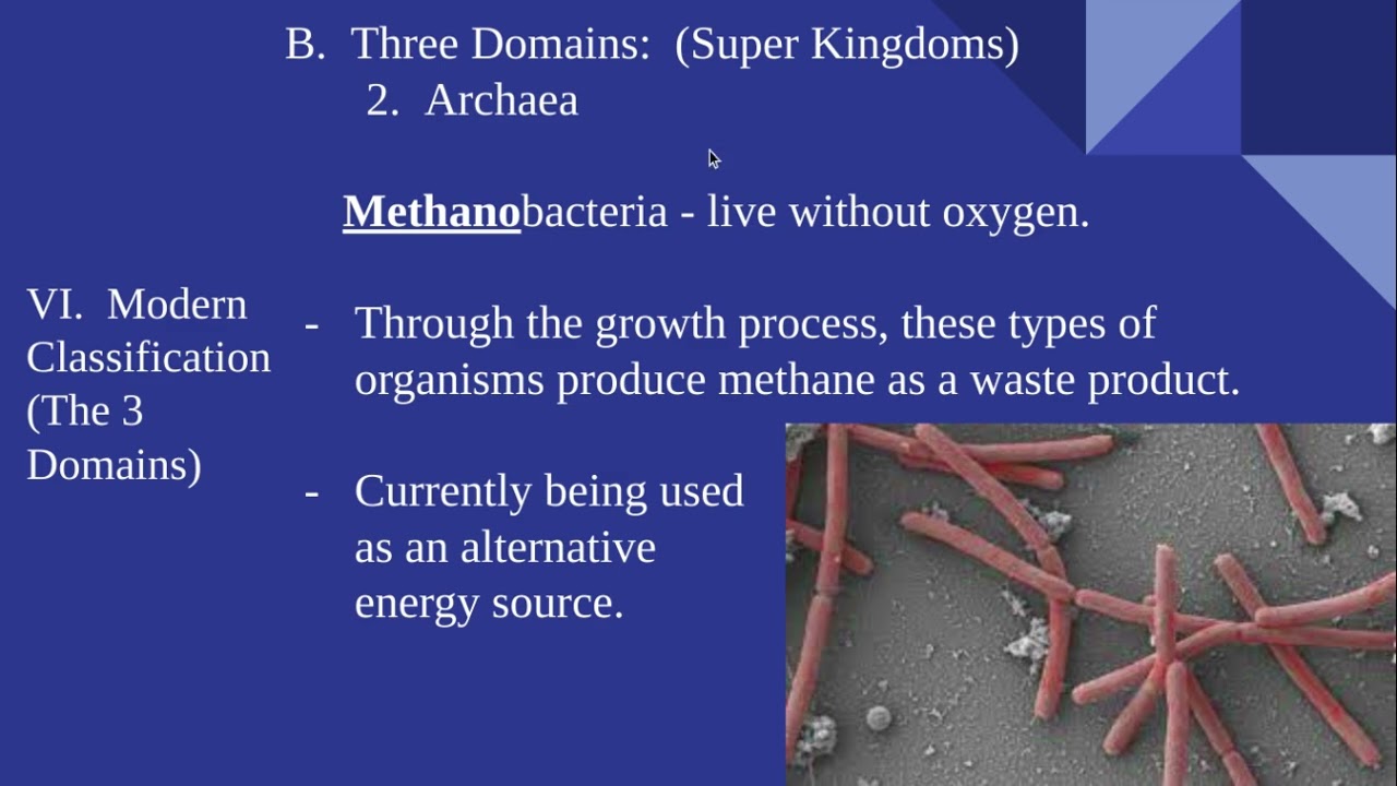 Classification of Living Things - DOMAINS