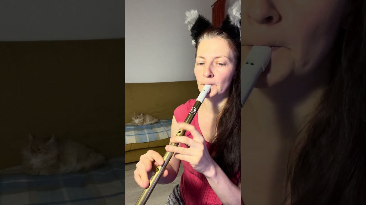 Watch Cahiramee (slip jig) - Low whistle in A + SHEET MUSIC on YouTube Watch Cahiramee (slip jig) - Low whistle in A + SHEET MUSIC on YouTube