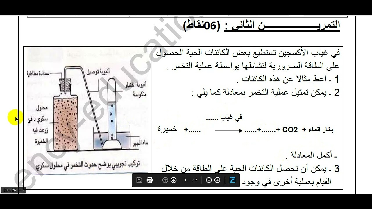 النموذج 1: اختبار الثلاثي الثاثي للمستوى الأول متوسط