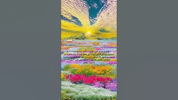 آية الكرسي ﴿ سورة البقرة ﴾ #آية_الكرسي  #سورة_البقرة  #القرآن_الكريم #ذكر