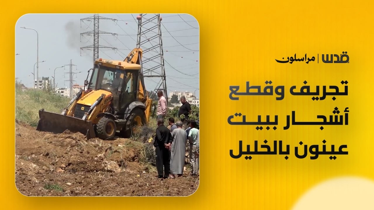 "هاي ثالث مرة يجرفوا لنا الأرض" الاحتلال يواصل تجريف وتقطيع أشجار العنب في بيت عينون، شمال الخليل.
