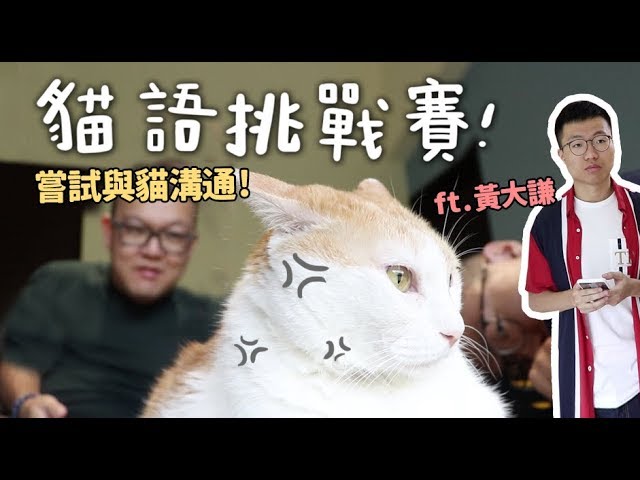 【黃阿瑪的後宮生活】貓語挑戰賽！嘗試與貓溝通！ft.黃大謙