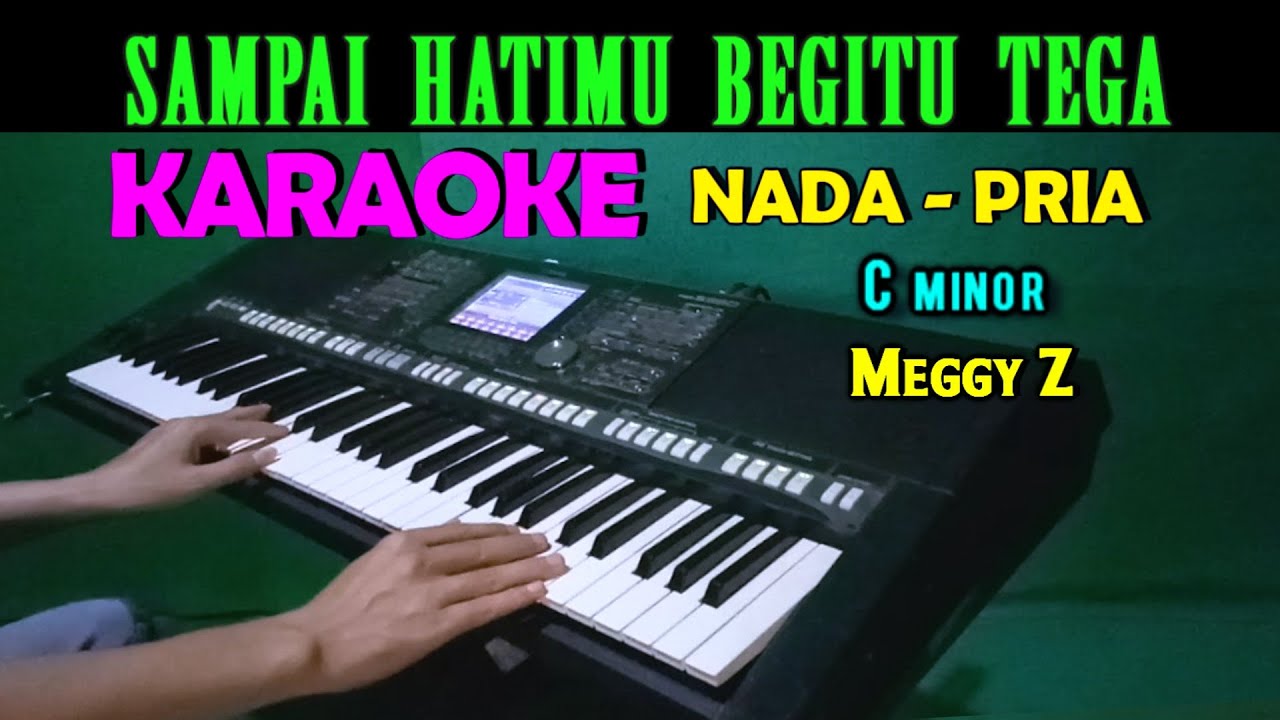 SAKIT HATI - Meggy Z | KARAOKE Nada Pria, HD