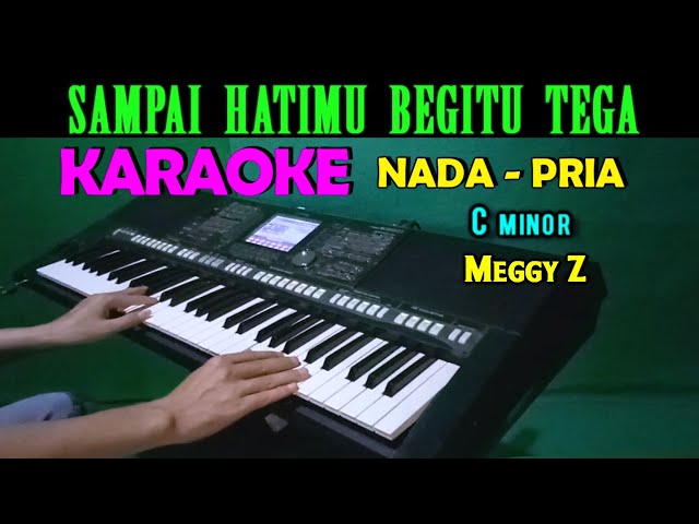 SAKIT HATI - Meggy Z | KARAOKE Nada Pria, HD class=