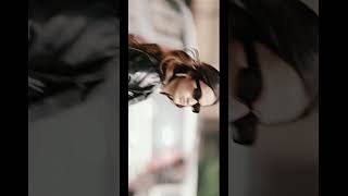 Trench coat walk screenshot 2