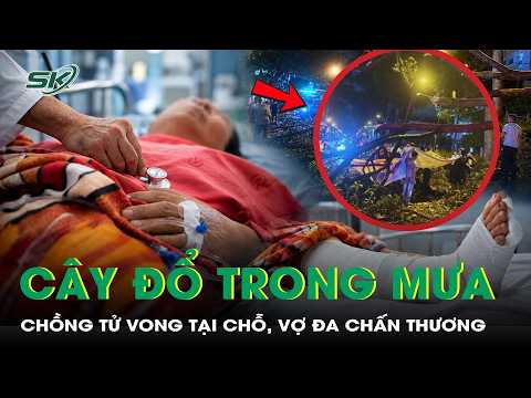 Husband dies on the spot, wife suffers multiple severe injuries after being hit by falling tree b...