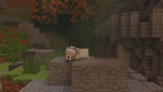 Dogserved2