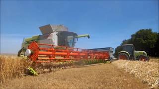 Moisson d'orge 2017 en Lexion 770 TT (Version complète)