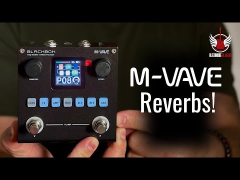 M-Vave BlackBox - Exploring the Reverbs