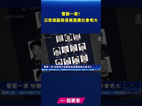 警匪一家 公安局副局长被曝是黑社会老大