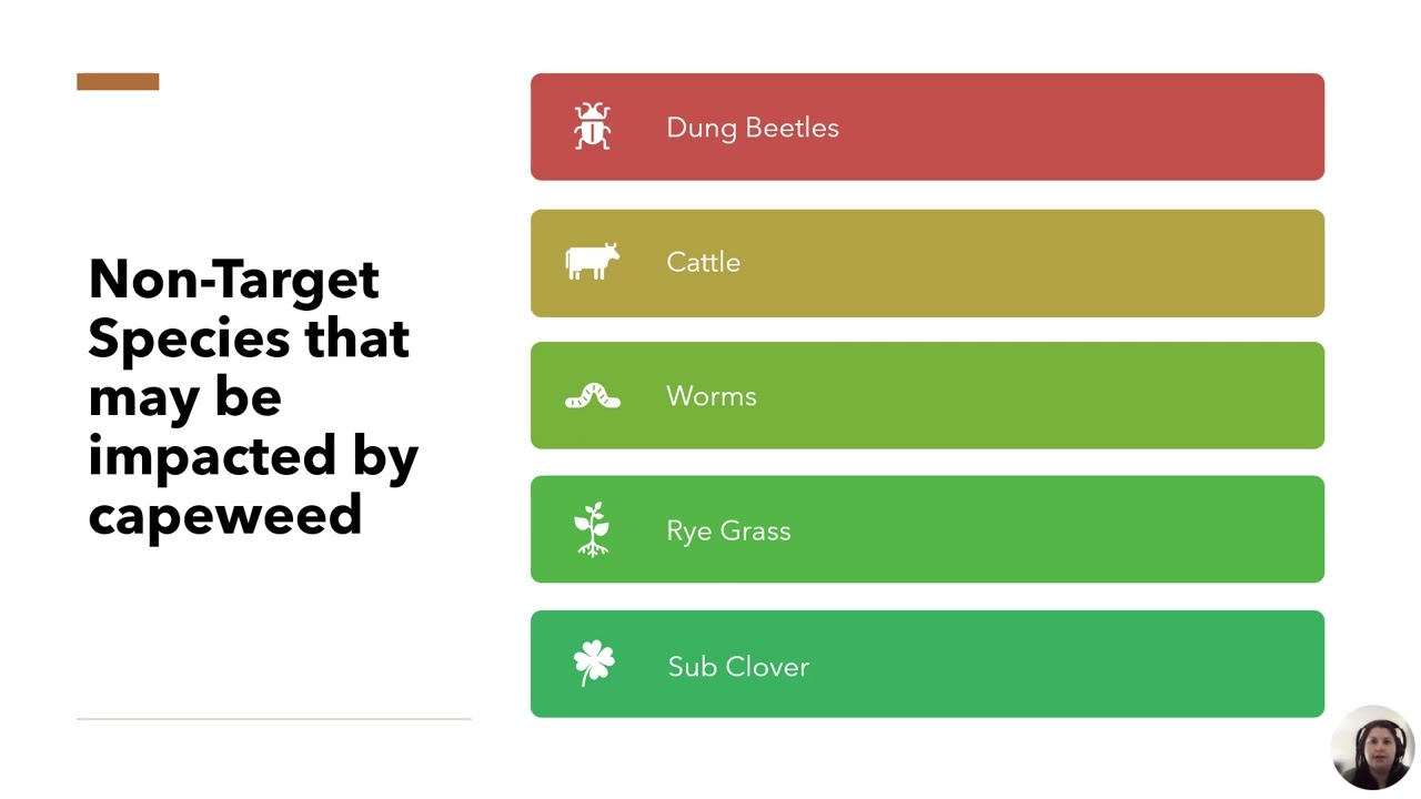 Erin Walser_Capeweed Management