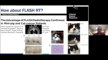 Basic Principles And The Future Of Mathematical Modeling In Clinical Radiobiology - Issam el Naqa