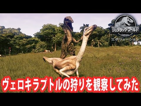 Jurassic World Evolution] Observing Velociraptor hunting [Afro